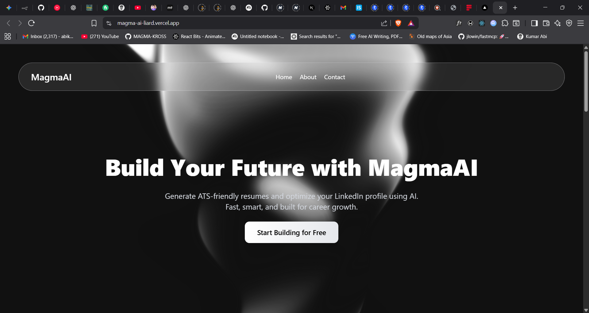 Screenshot of MagmaAI